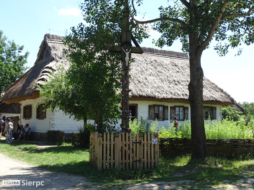 Miodobranie w skansenie