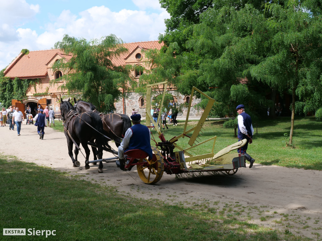 Żniwa w skansenie