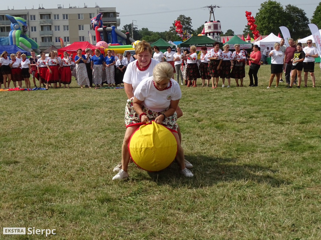 V Kasztelański Festiwal Smaków - KGW