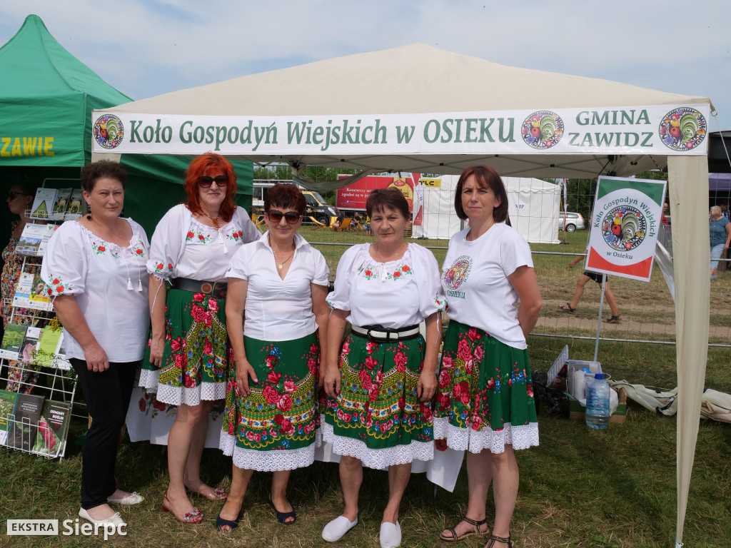 V Kasztelański Festiwal Smaków - KGW