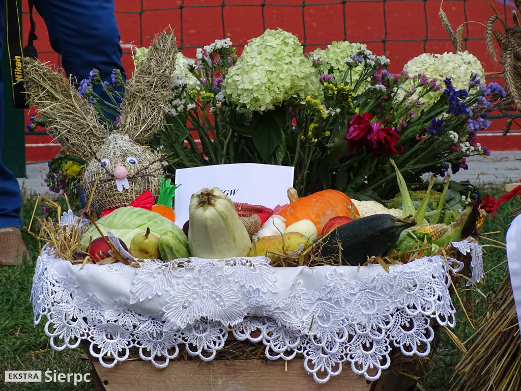 Dożynki w Studzieńcu