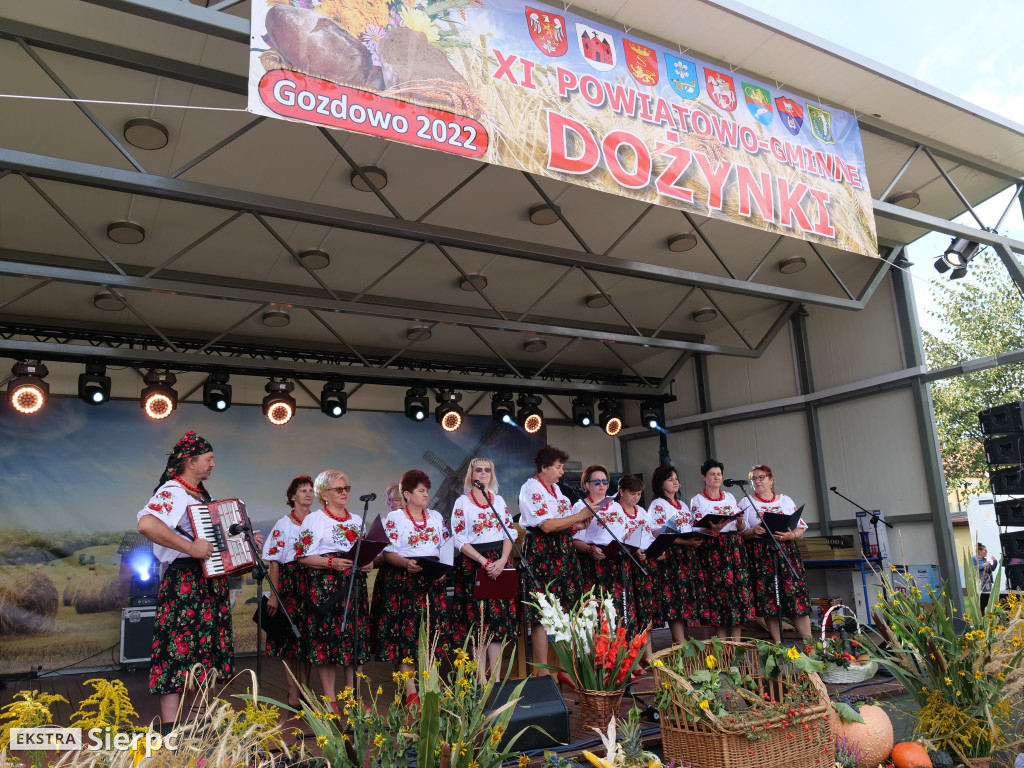 Dożynki Powiatowo-Gminne w Gozdowie