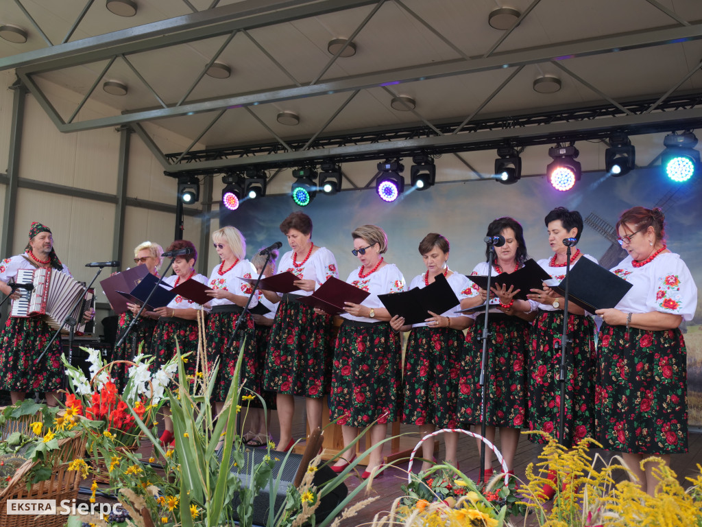 Dożynki Powiatowo-Gminne w Gozdowie