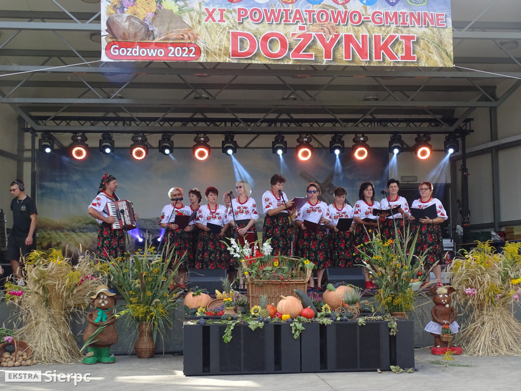 Dożynki Powiatowo-Gminne w Gozdowie