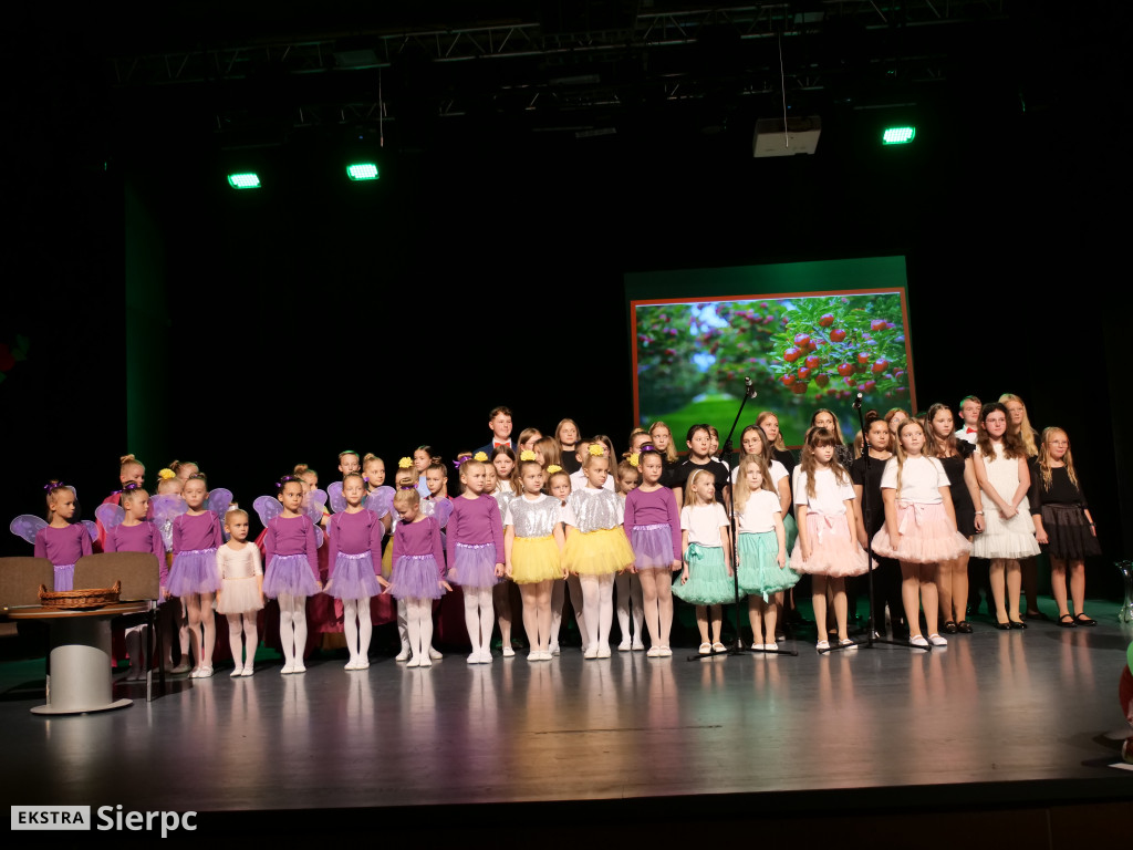 Dzień Edukacji Narodowej w Sierpcu