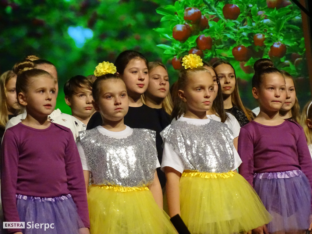 Dzień Edukacji Narodowej w Sierpcu