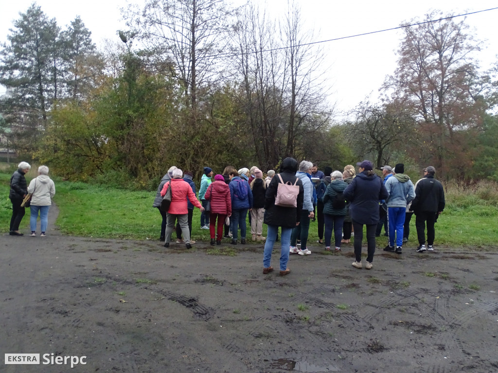 Średniowiczny Piknik Historyczny