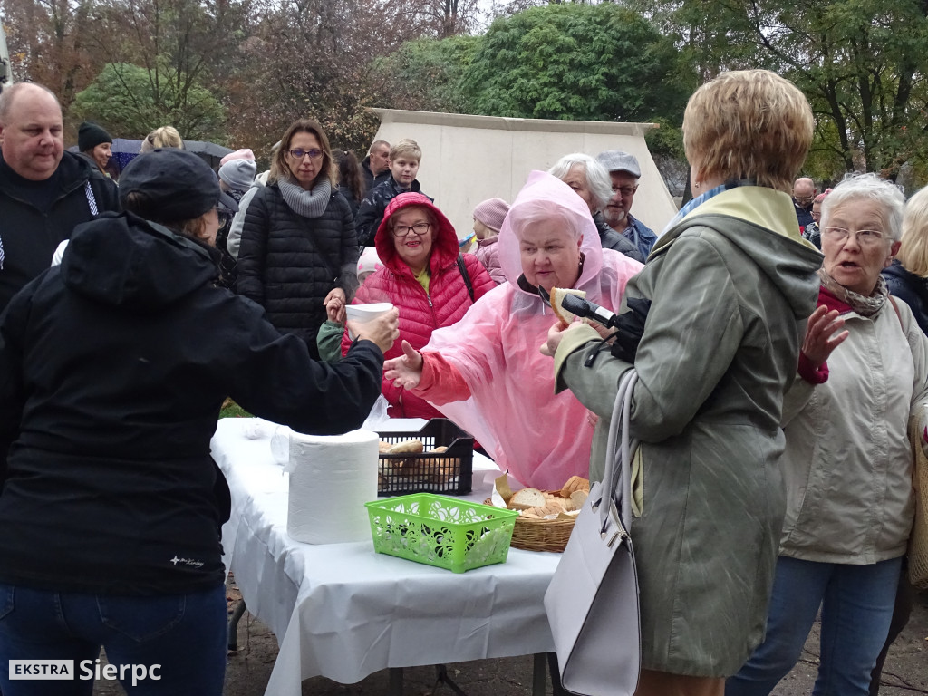 Średniowiczny Piknik Historyczny