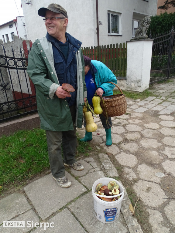 Zajęcia w Klubie Seniora na Zatorzu