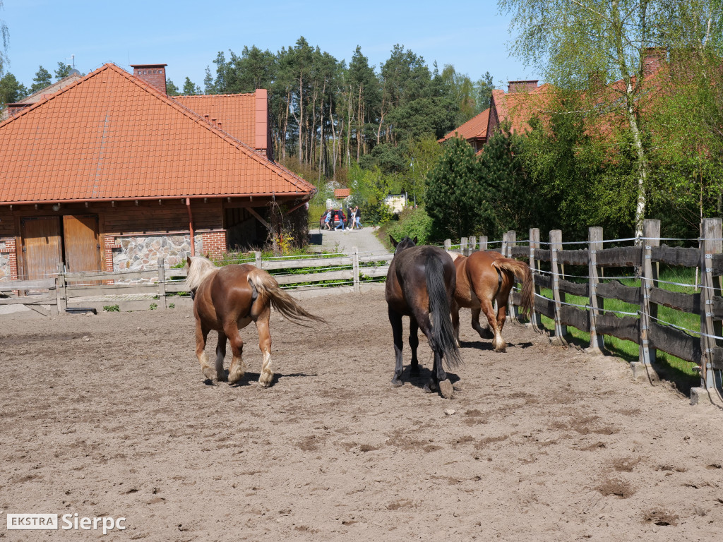 Majówka w skansenie