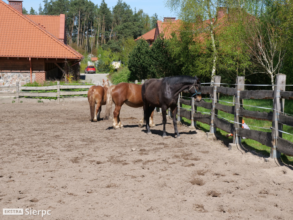Majówka w skansenie