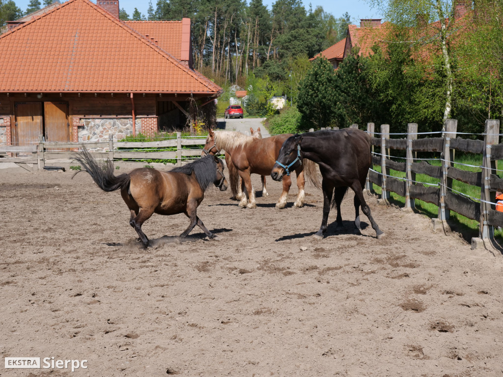 Majówka w skansenie