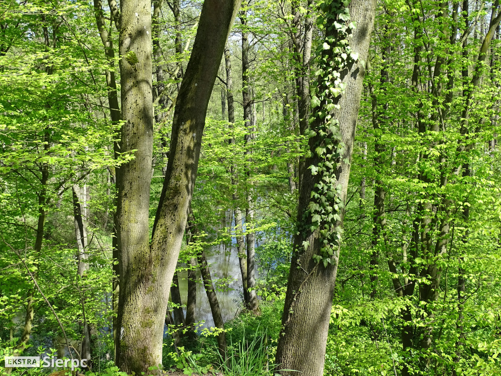 Majówka w skansenie