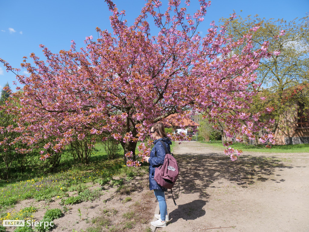 Majówka w skansenie