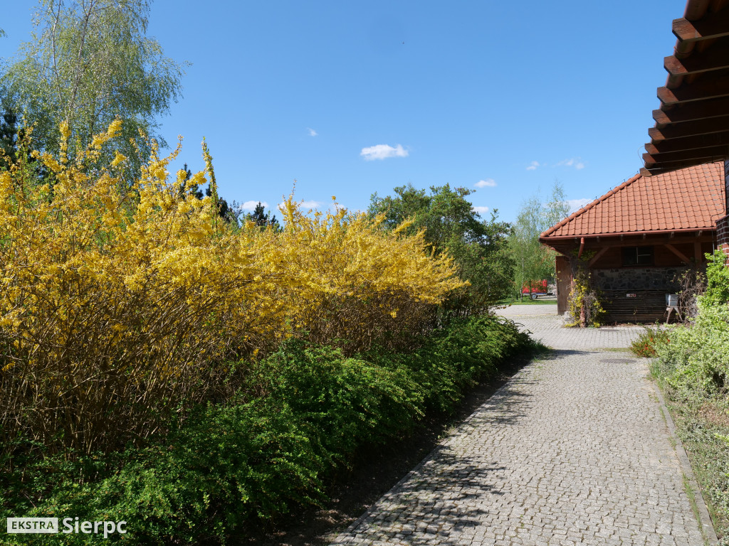 Majówka w skansenie