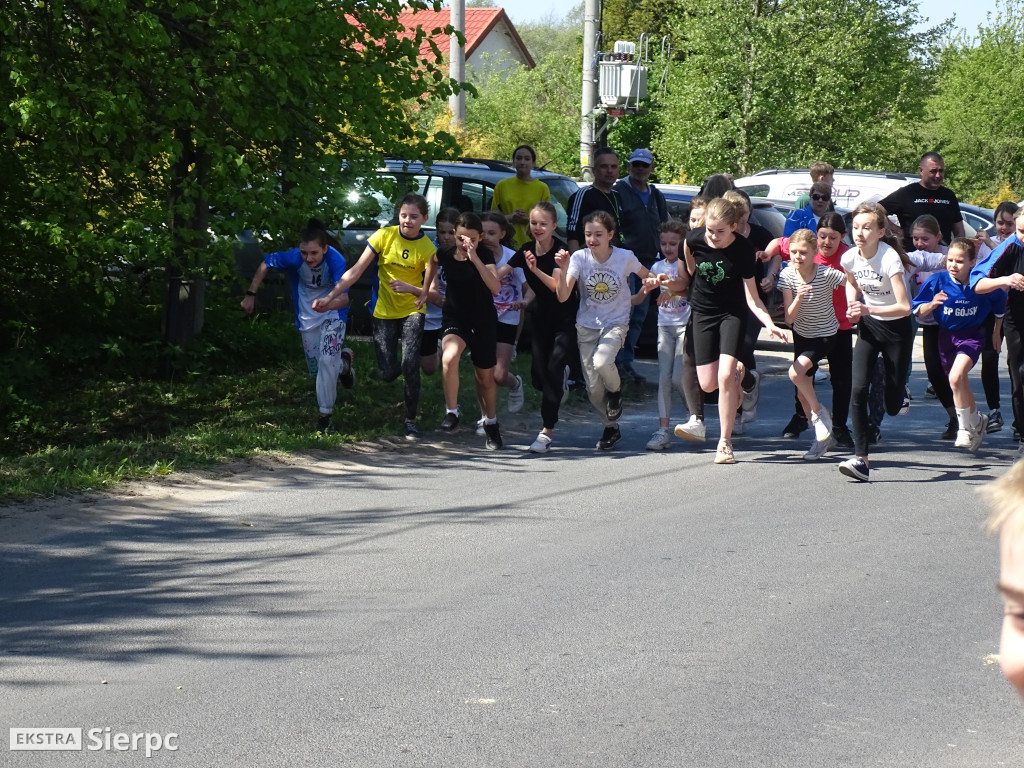 Piknik sportowo-ekologiczny w Borkowie