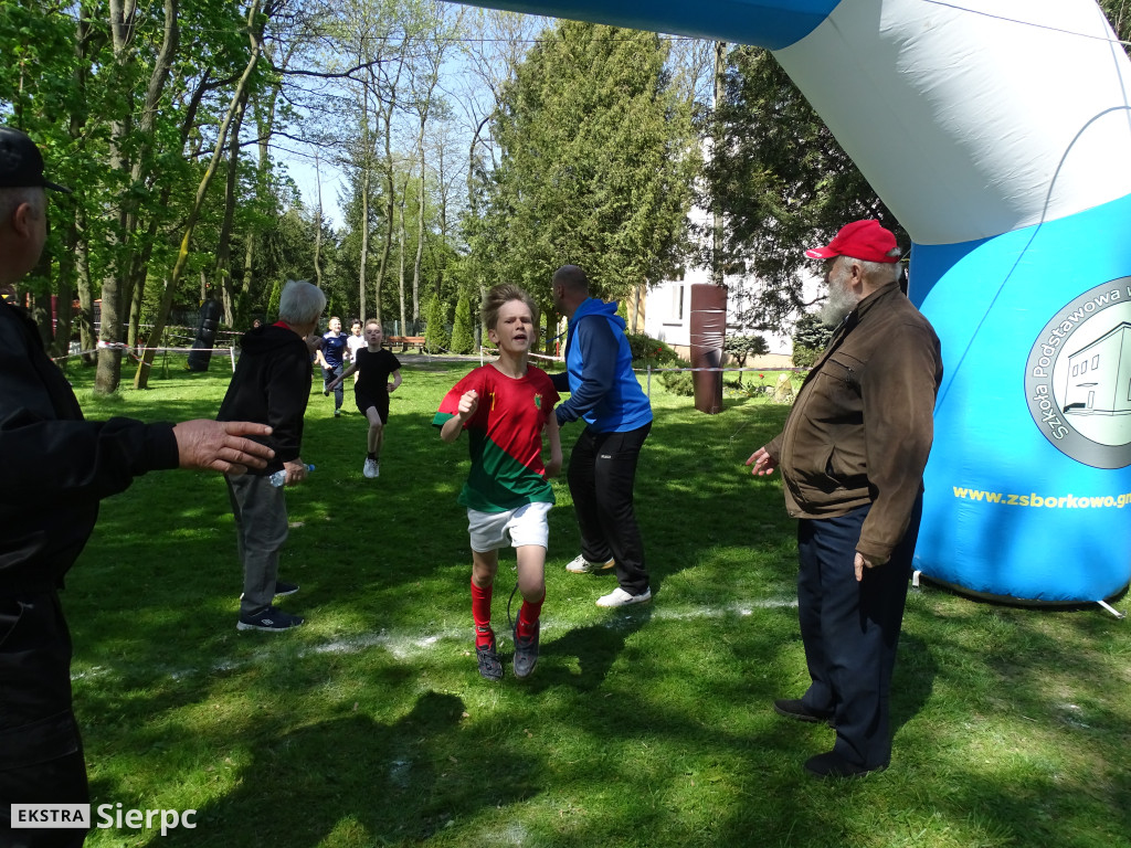 Piknik sportowo-ekologiczny w Borkowie
