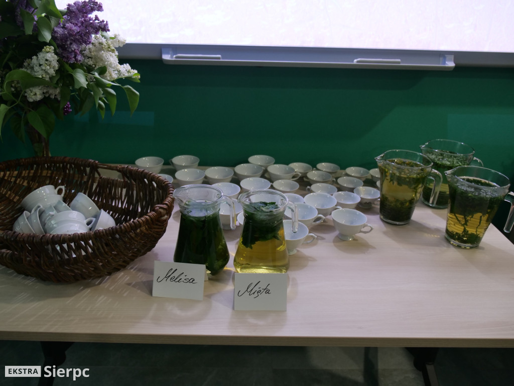 Ziołowa apteczka z łąk i lasów