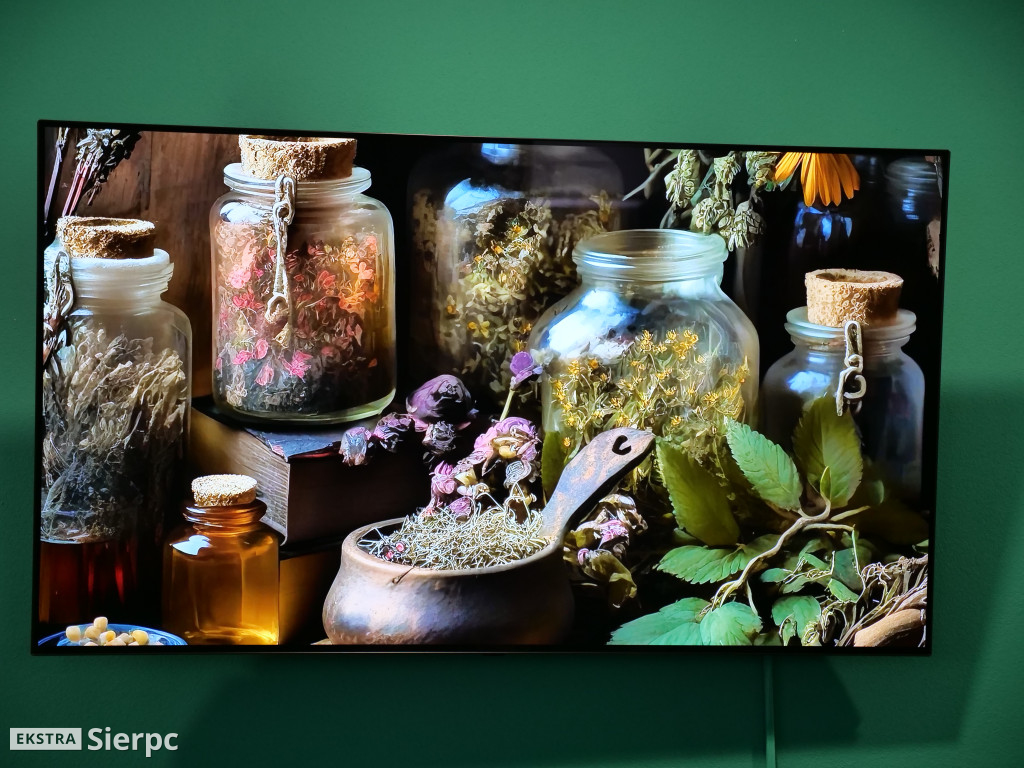 Ziołowa apteczka z łąk i lasów