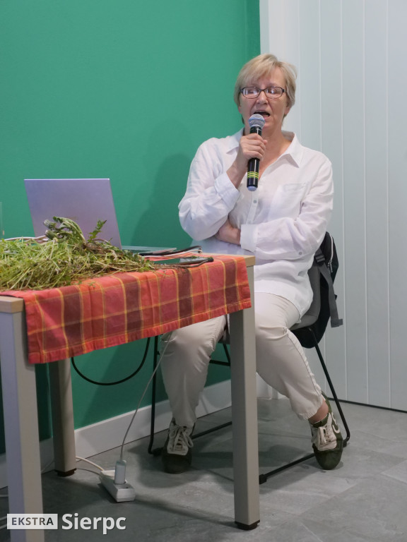 Ziołowa apteczka z łąk i lasów