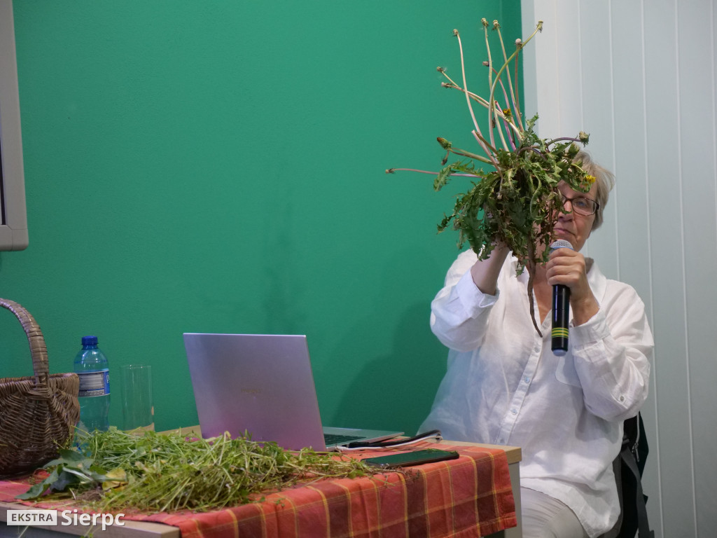 Ziołowa apteczka z łąk i lasów