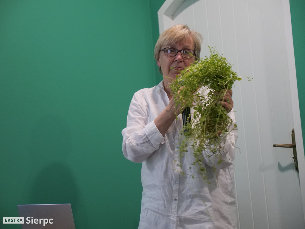 Ziołowa apteczka z łąk i lasów