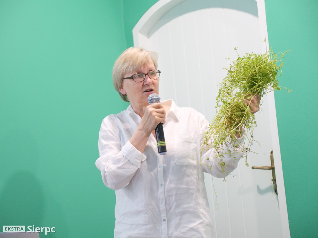 Ziołowa apteczka z łąk i lasów