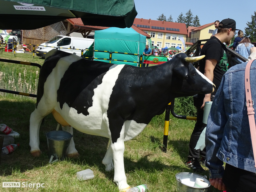 VI Sierpeckie Dni Rolnika — targi rolnicze