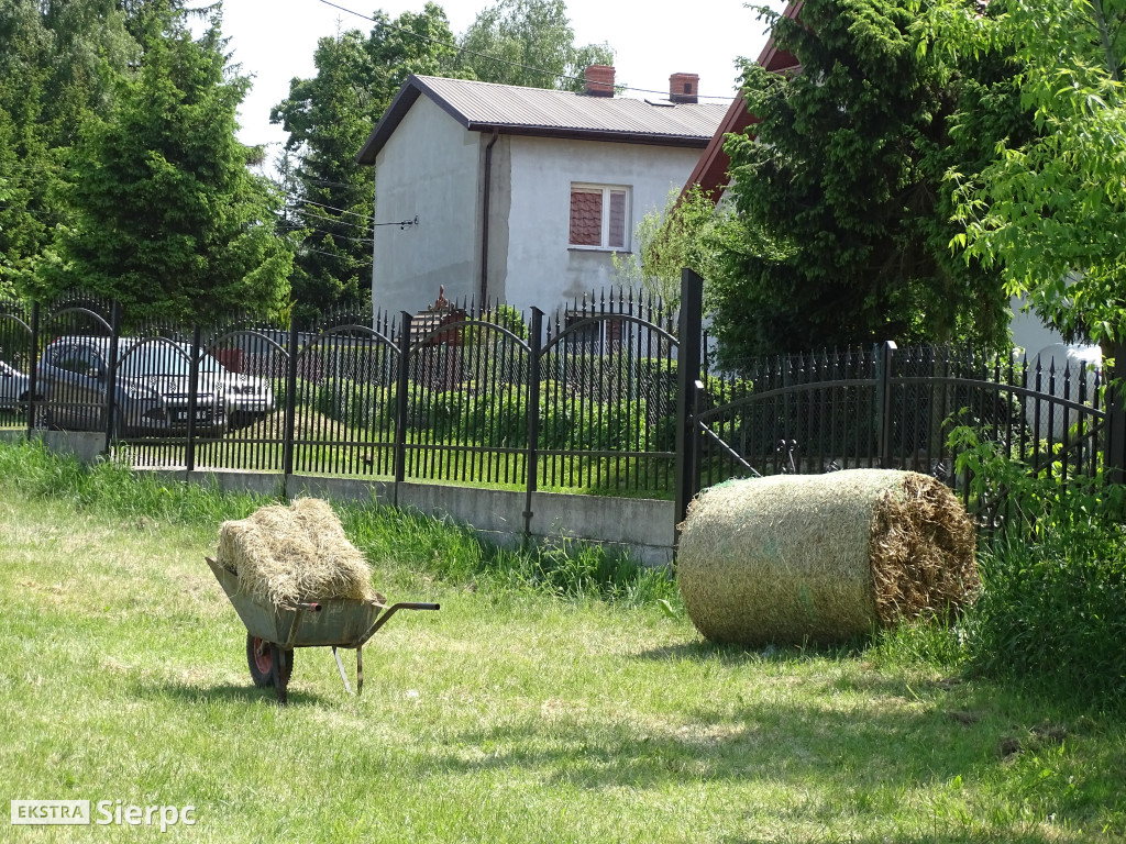 VI Sierpeckie Dni Rolnika — targi rolnicze