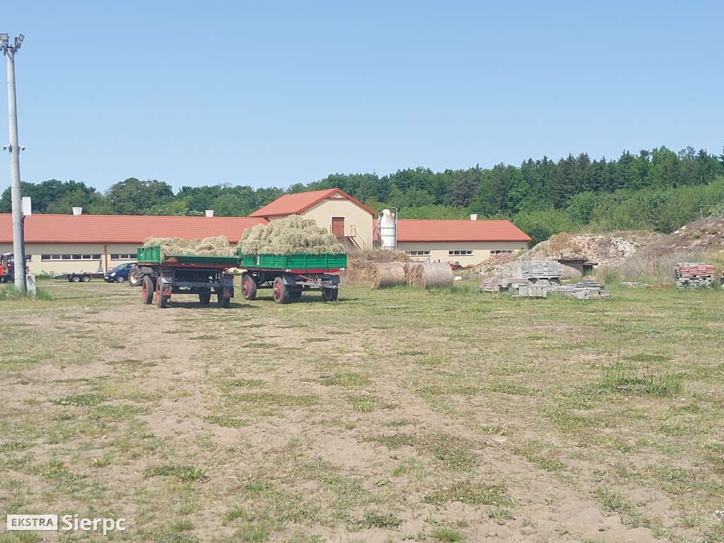 VI Sierpeckie Dni Rolnika — targi rolnicze