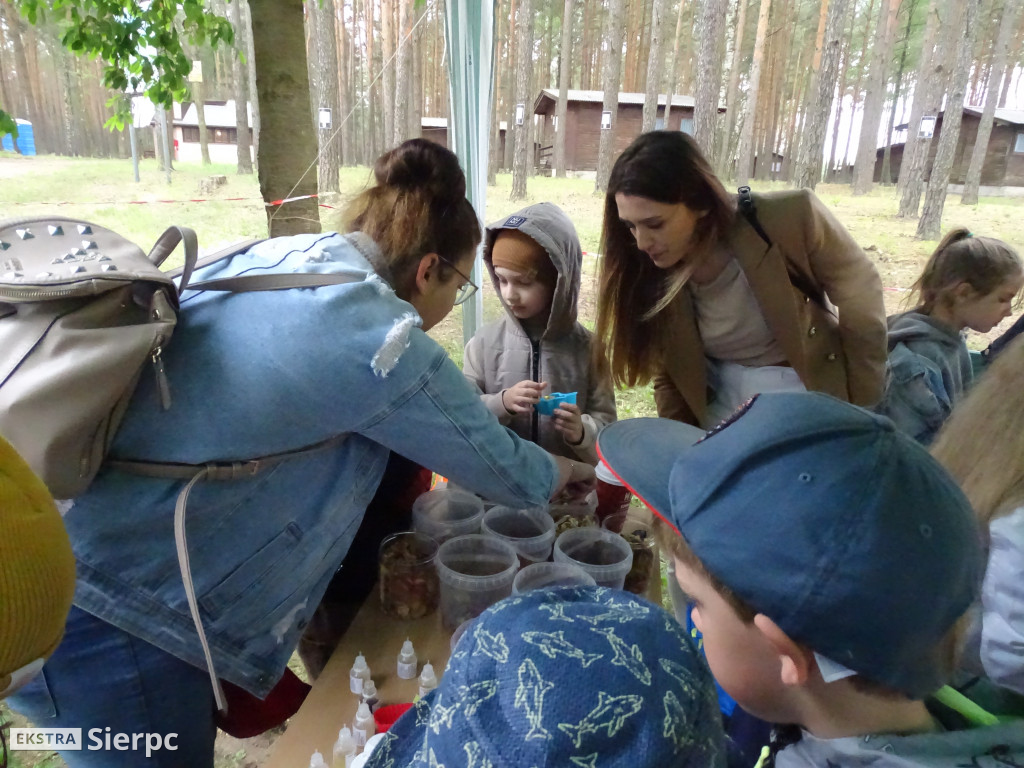 Rodzinny Piknik Ekologiczny w Bledzewie