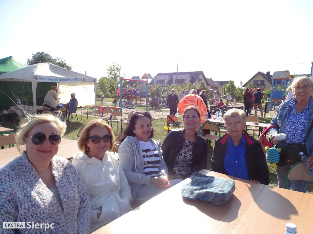 Rodzinny Piknik w Sierpcu