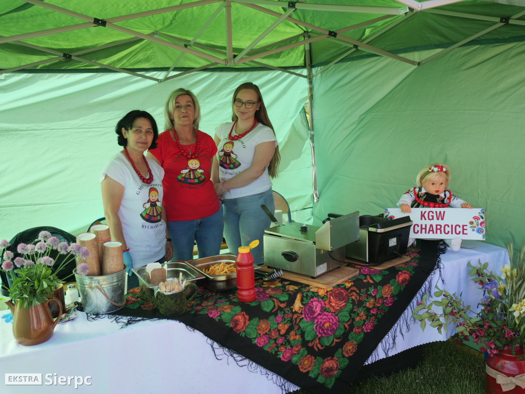 Rodzinny Piknik w Sierpcu
