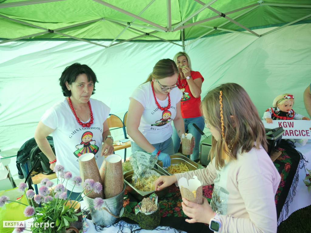 Rodzinny Piknik w Sierpcu