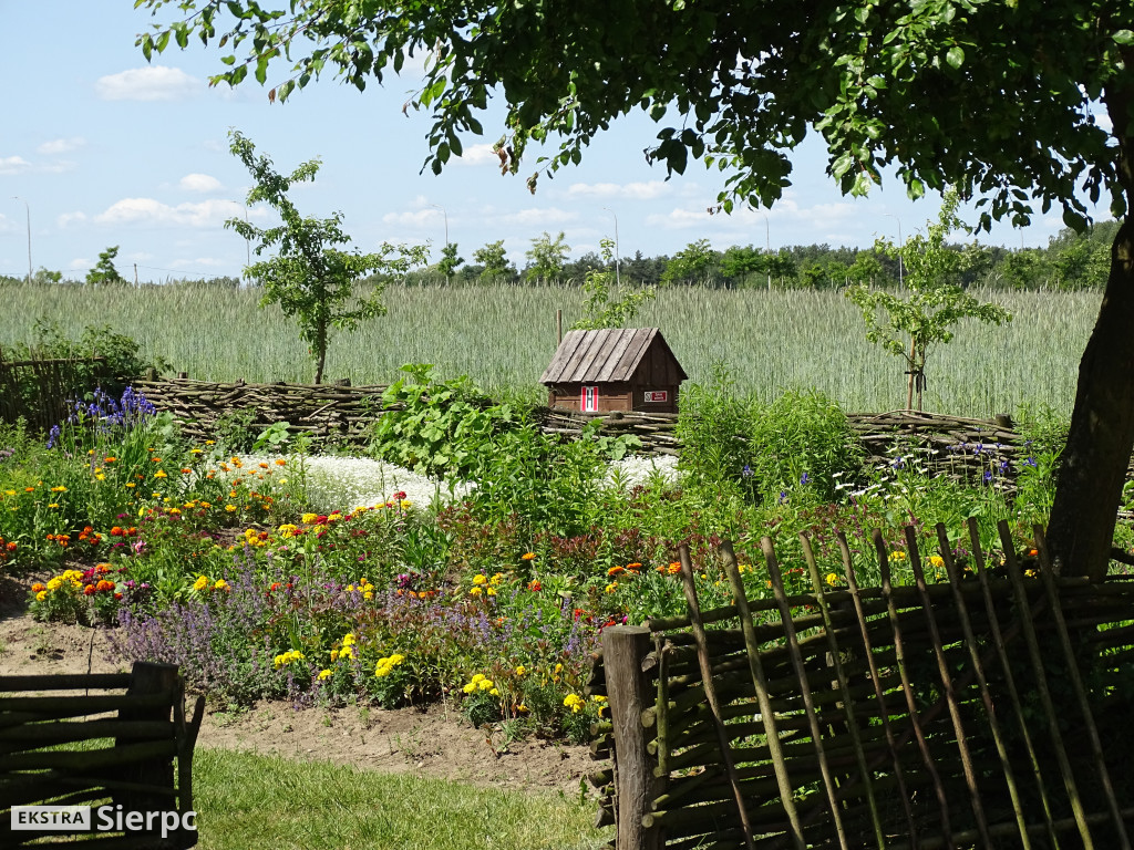Dzień Dziecka w skansenie