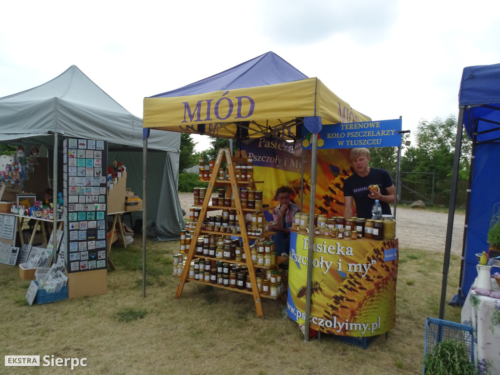 Gala Orkiestr Dętych w skansenie