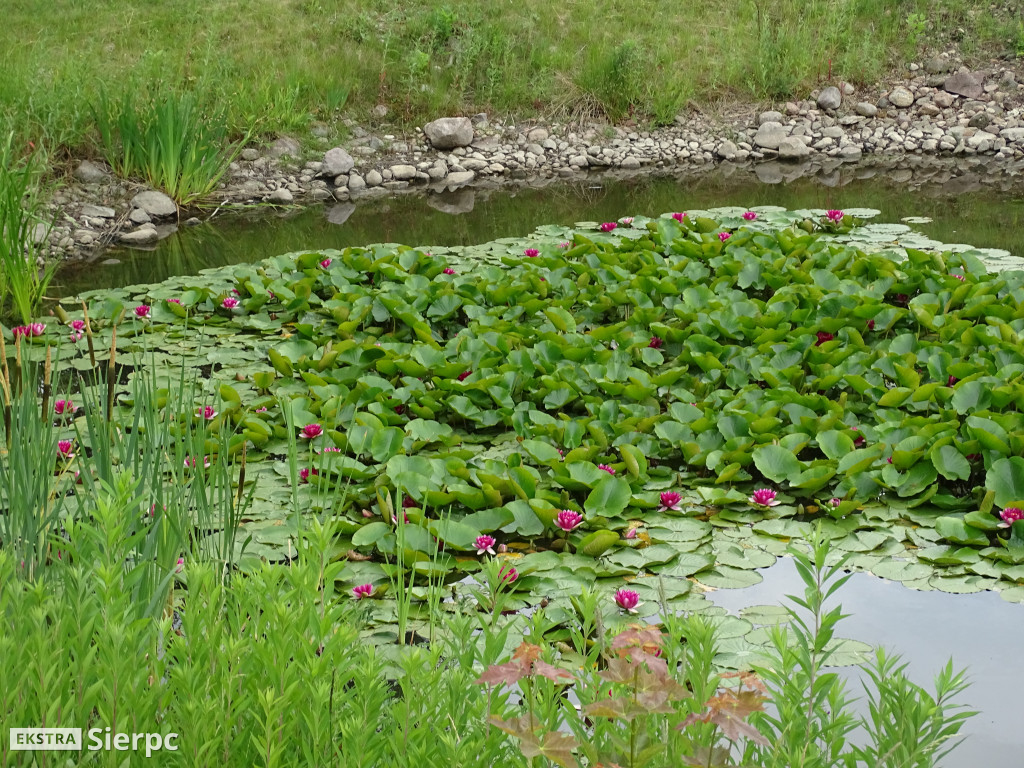 Gala Orkiestr Dętych w skansenie