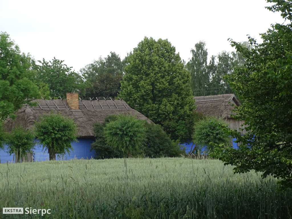Gala Orkiestr Dętych w skansenie