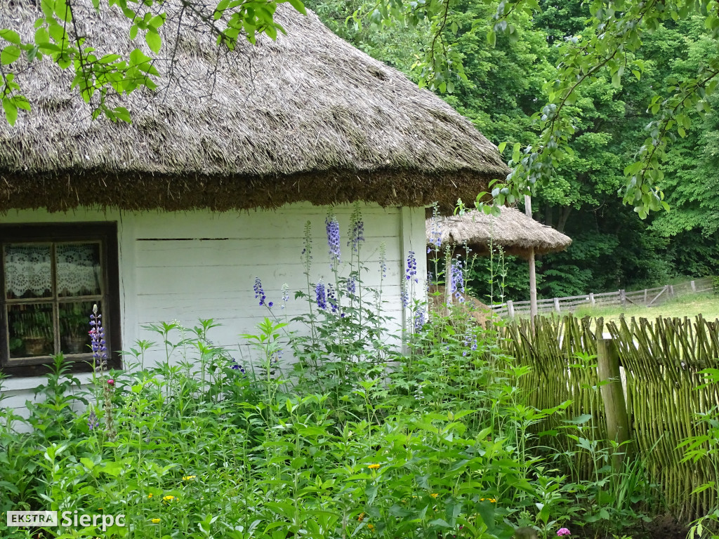 Gala Orkiestr Dętych w skansenie