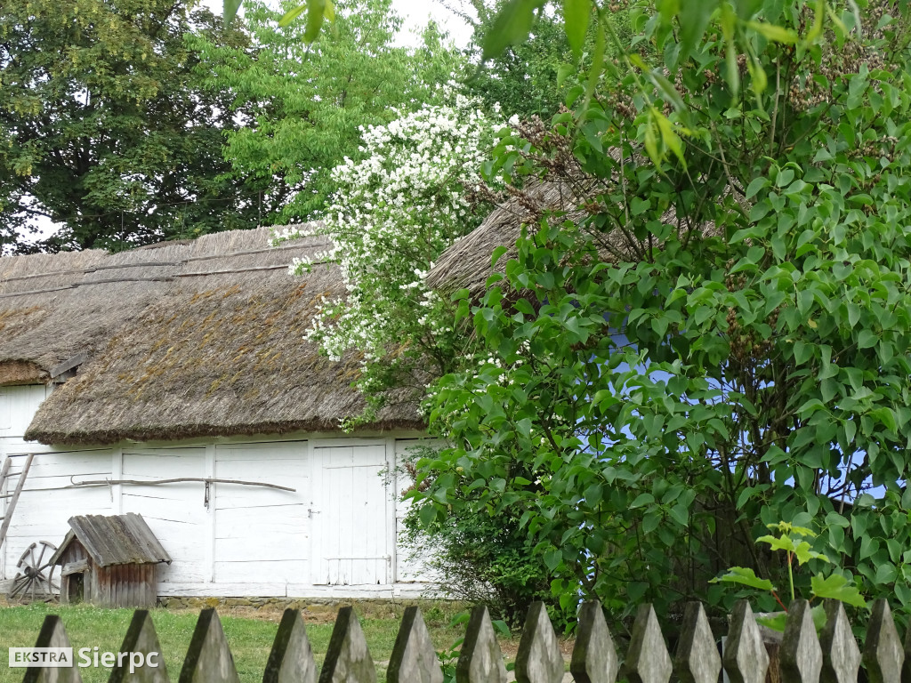 Gala Orkiestr Dętych w skansenie