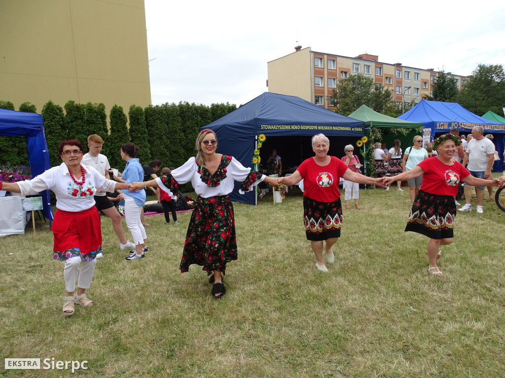 Rodzinny Piknik Ekologiczny w Sierpcu
