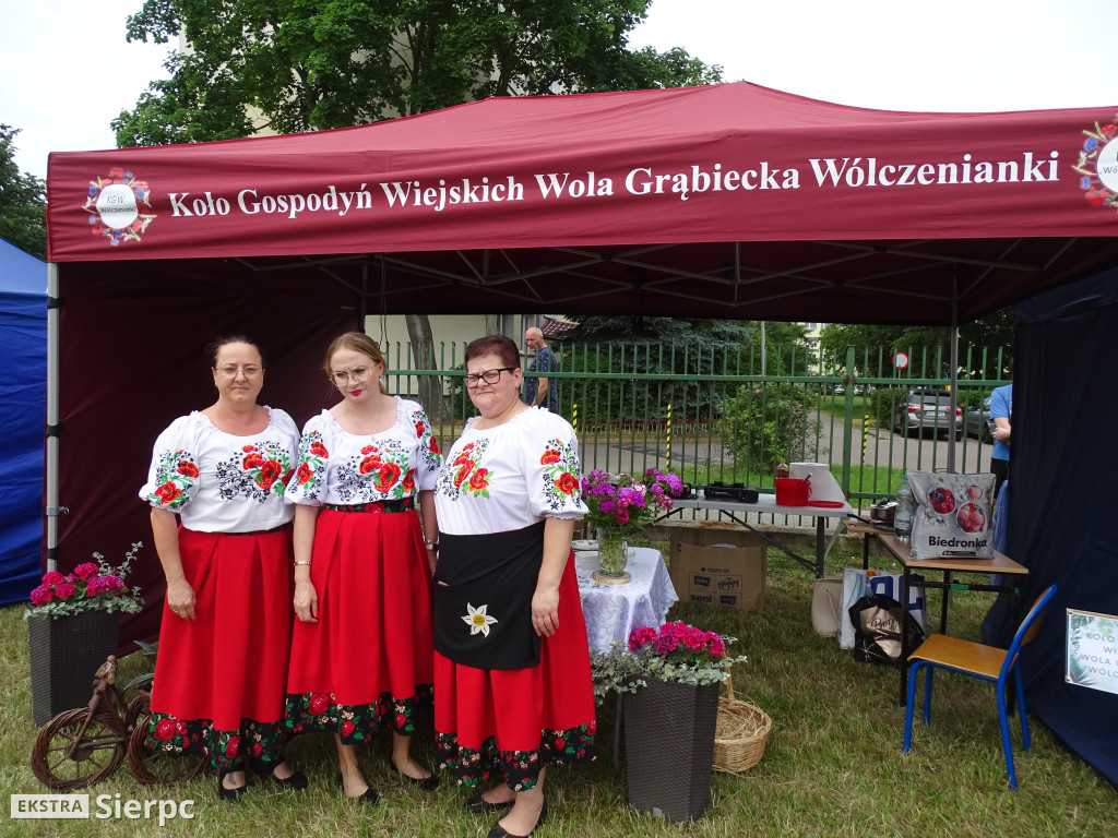 Rodzinny Piknik Ekologiczny w Sierpcu
