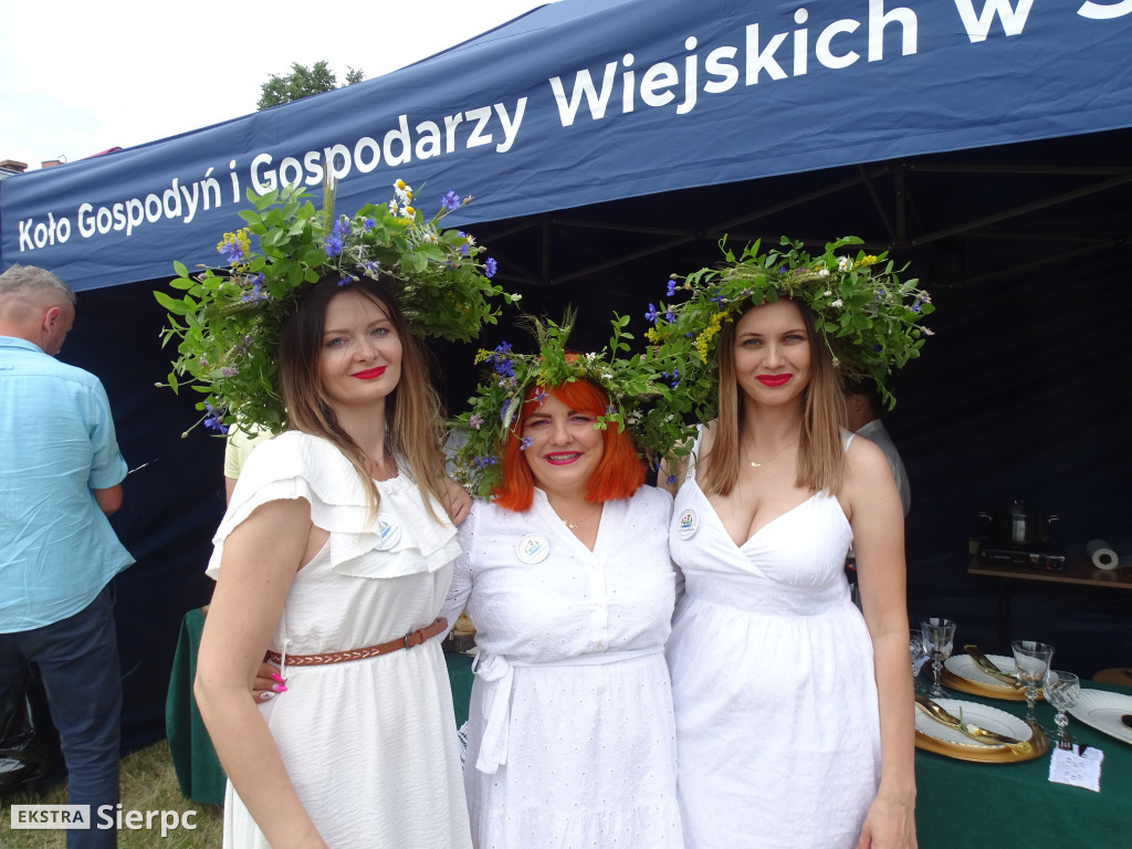 Rodzinny Piknik Ekologiczny w Sierpcu