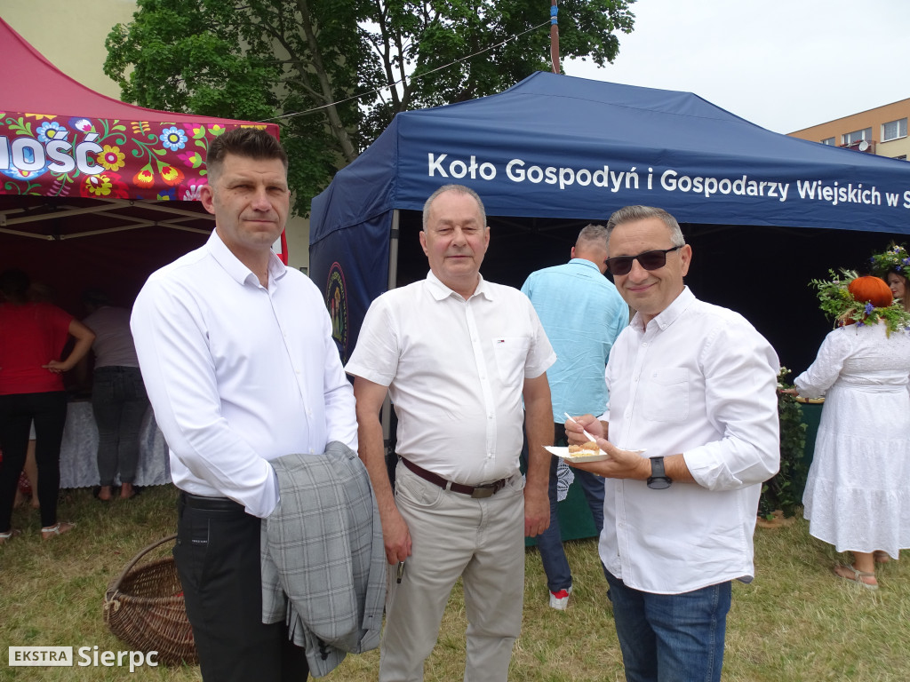 Rodzinny Piknik Ekologiczny w Sierpcu