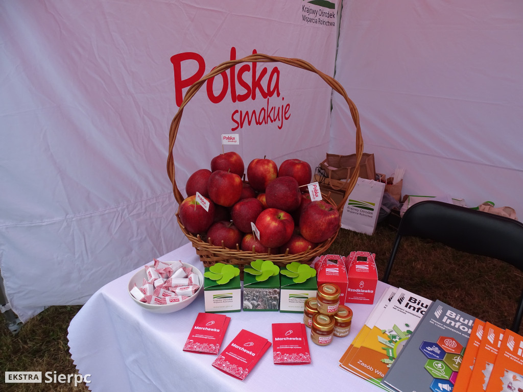 Rodzinny Piknik Ekologiczny w Sierpcu