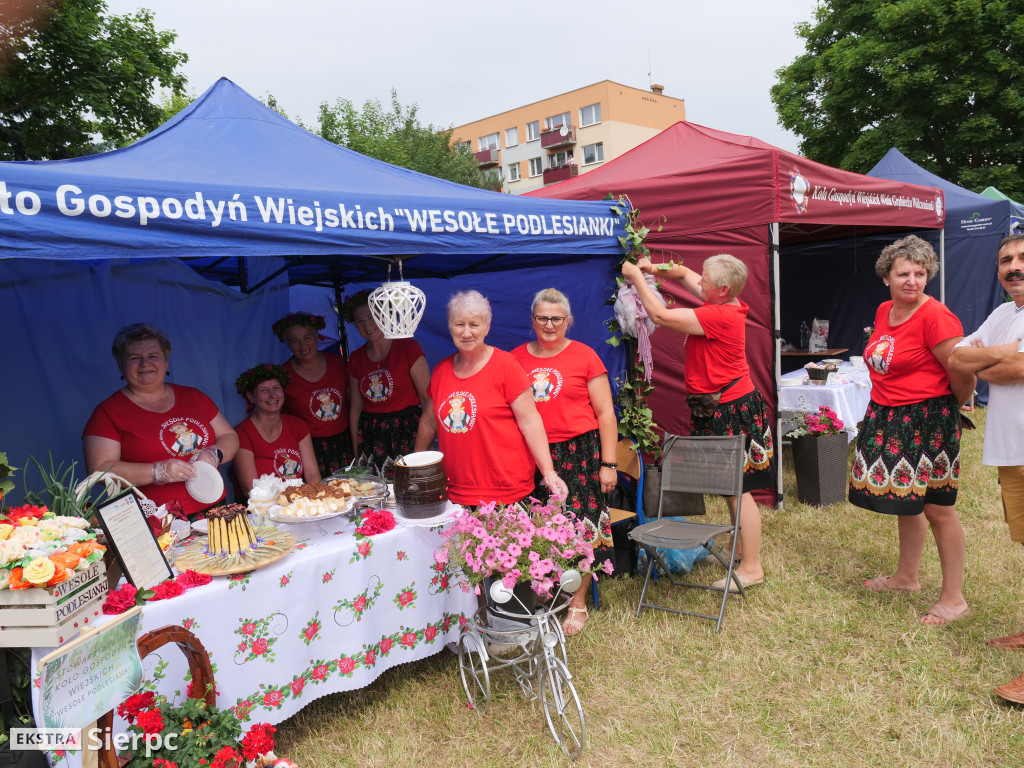 Rodzinny Piknik Ekologiczny w Sierpcu