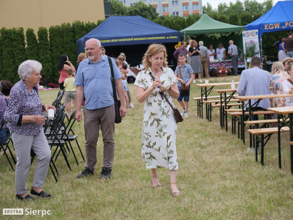 Rodzinny Piknik Ekologiczny w Sierpcu