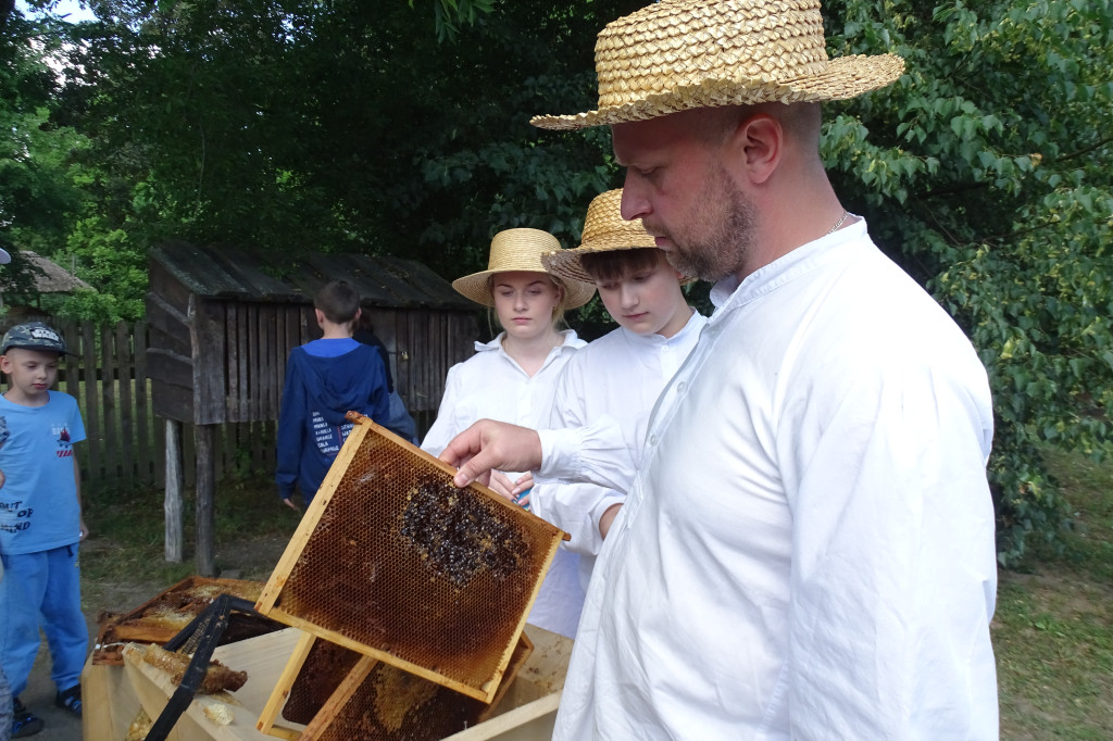Miodobranie w skansenie