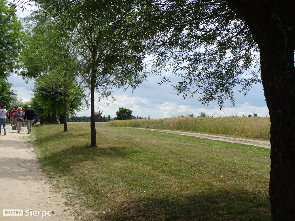 Miodobranie w skansenie
