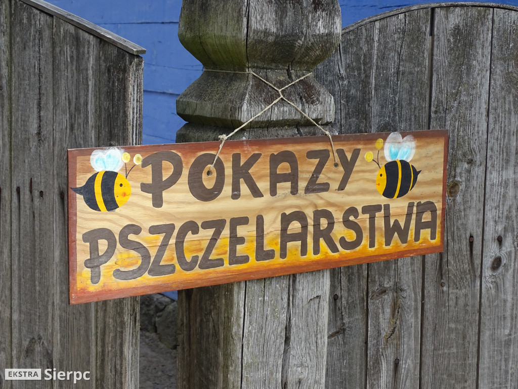 Miodobranie w skansenie